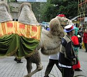 По улицам слона водили, водили...